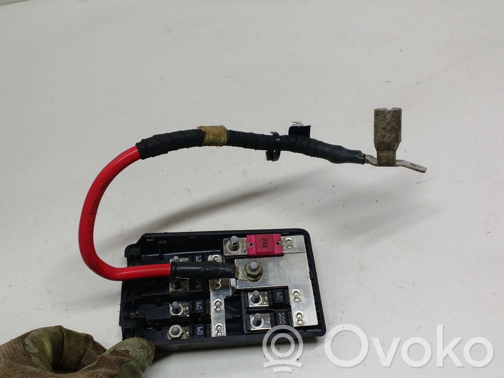 Cableado positivo   8782849,191114,RQSA959113