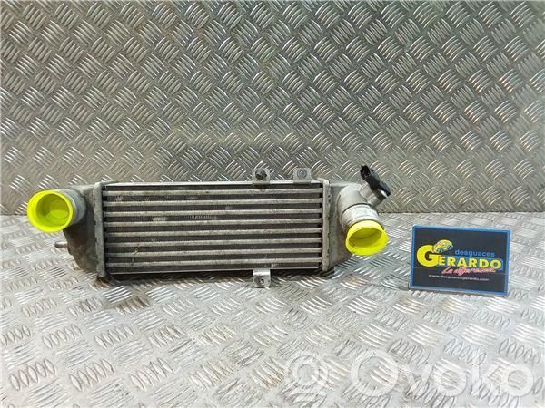 Intercooler radiator   282702A610,6039507
