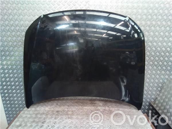 Capó/tapa del motor   3C0823031C,3C0898615