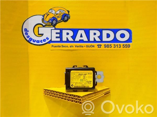 Engine control unit/module   954202V000