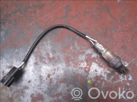 Зонд «Lambda»   629W65635