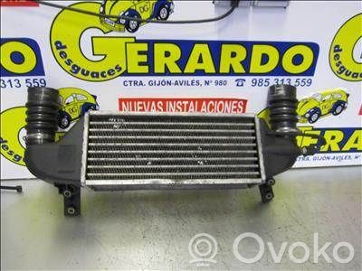 Ford Focus Starpdzesētāja radiators 