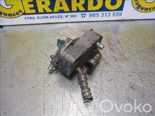 Engine oil radiator   17217529499
