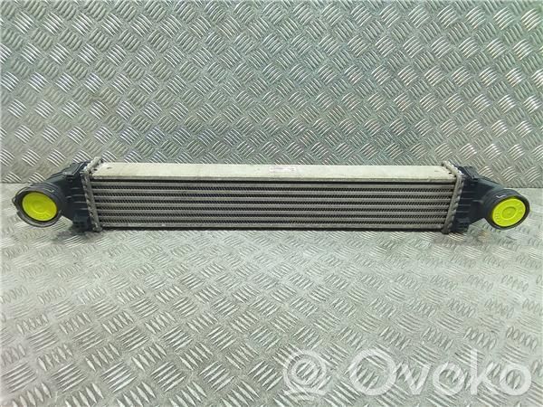 Radiador intercooler   A1695000000