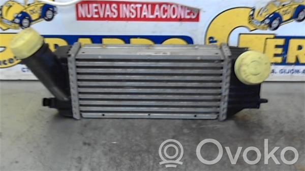 Peugeot 307 Intercooler radiator 