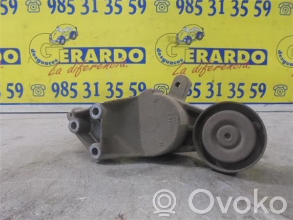 Seat Inca (6k) Întinzător curea generator/alternator 
