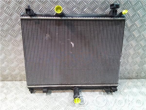 Citroen C5 Radiatore dell’olio del motore 