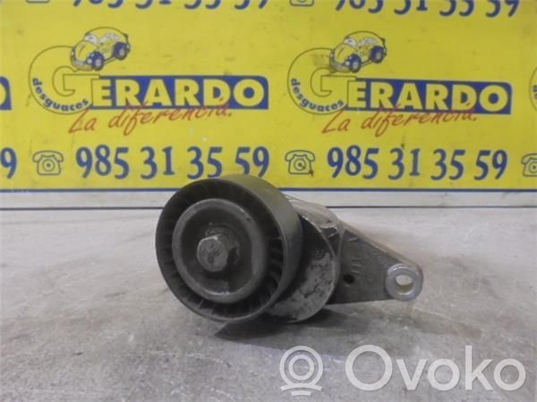 Citroen C4 I Tendicinghia generatore/alternatore 