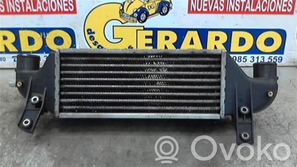 Starpdzesētāja radiators   XS409L440BD