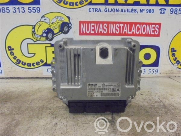 Engine control unit/module ECU   9658576180,281011633