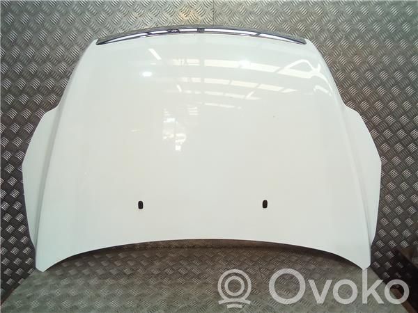 Motorhaube   1521601,P8M51A16610AE