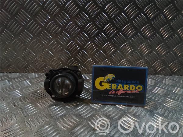 BMW X3 E83 Fendinebbia anteriore 