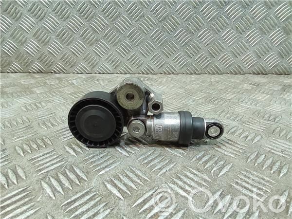 Diržo įtempėjas   PE0315980,F56989710