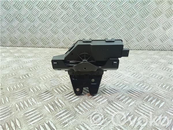 Tailgate window lock/catch/latch   8196401