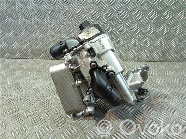 Renault Laguna III Supporto di montaggio del filtro dell’olio 