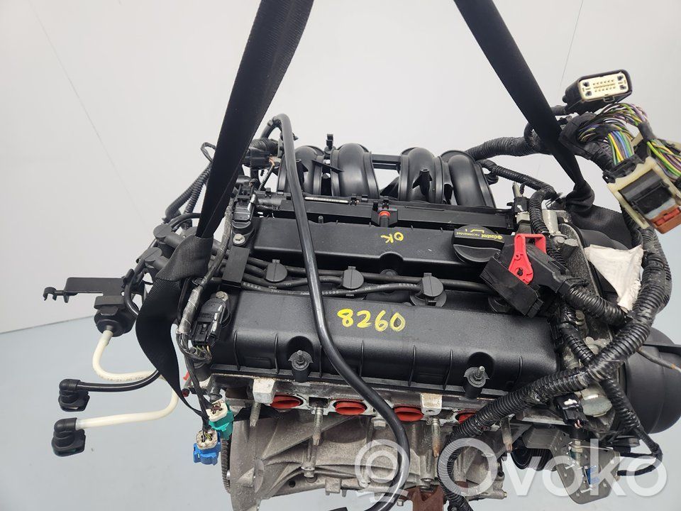 Motor   PNDD