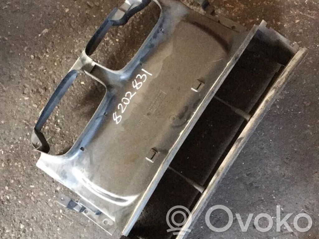 BMW 3 E46 Radiatoru panelis 