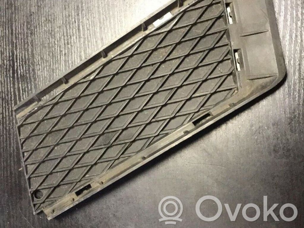 Front bumper lower grill   7178991