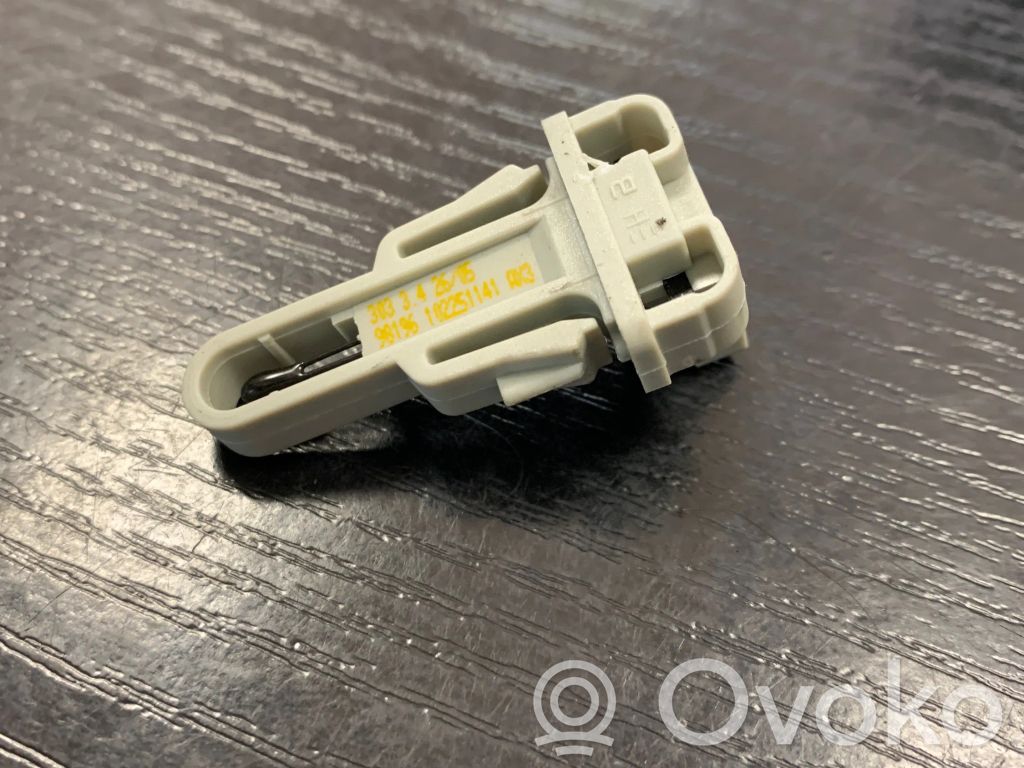 Interior temperature sensor   98196