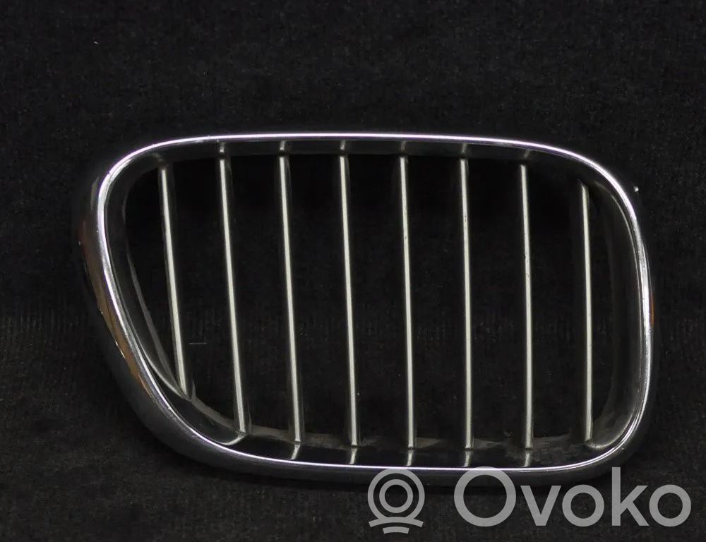 BMW X5 E53 Grotelės priekinės 