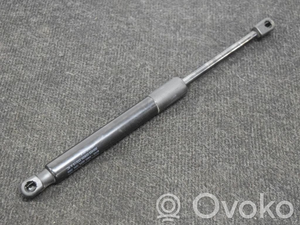 Tesla Model 3 Tailgate/trunk strut/damper 