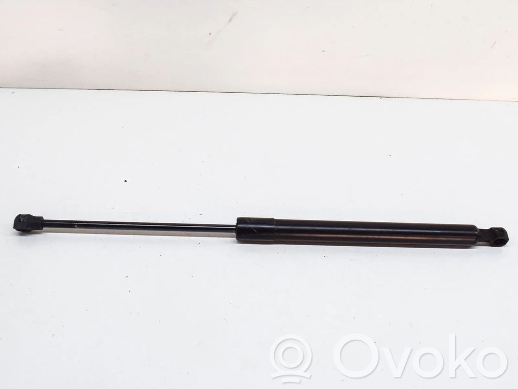 Renault Zoe Tailgate/trunk strut/damper 