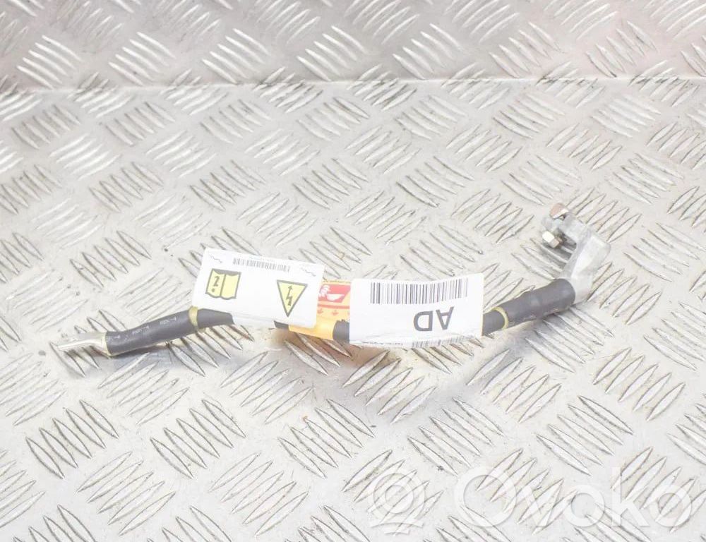 Jaguar I-Pace Cable negativo de tierra (batería) 