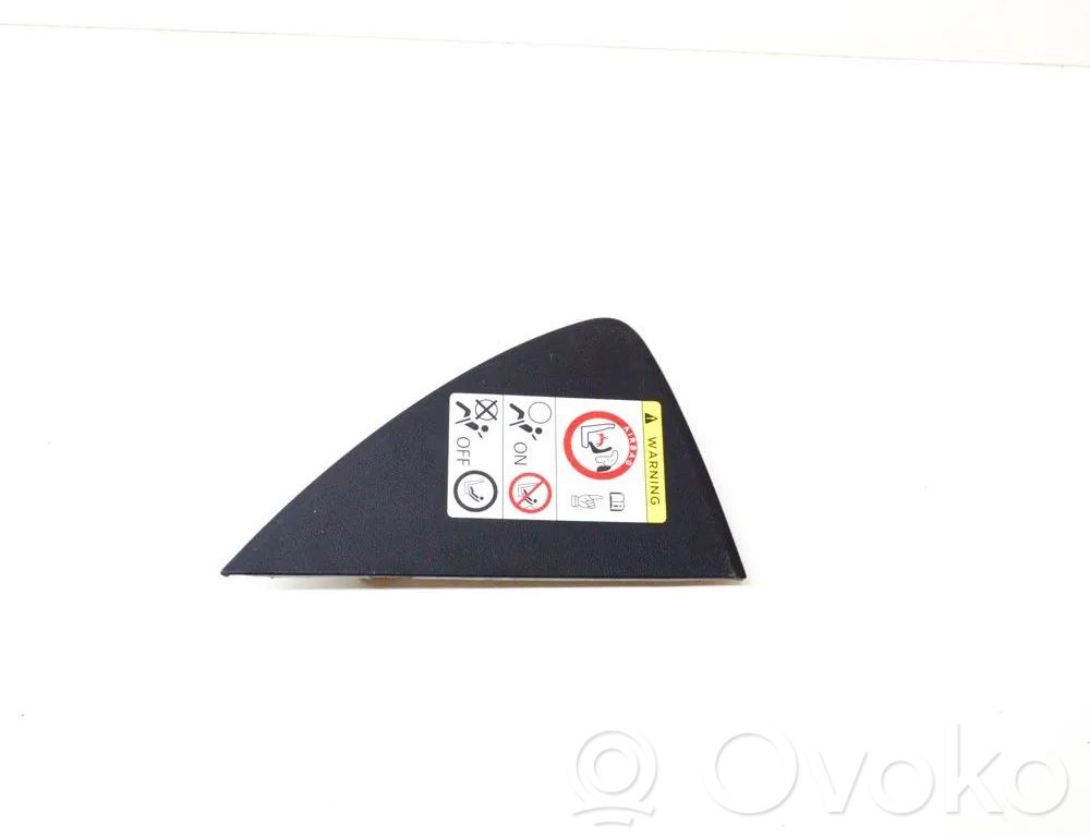 Tesla Model 3 Panelės apdailos skydas (šoninis) 