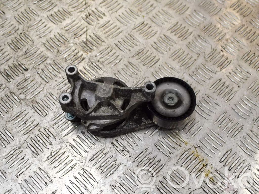 Audi A3 S3 8P Tensor de correa del alternador 