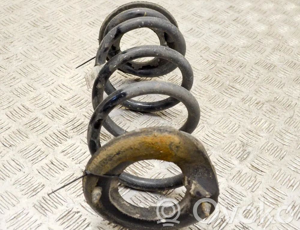 Tesla Model 3 Rear coil spring 