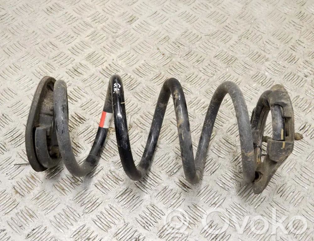 Tesla Model 3 Rear coil spring 
