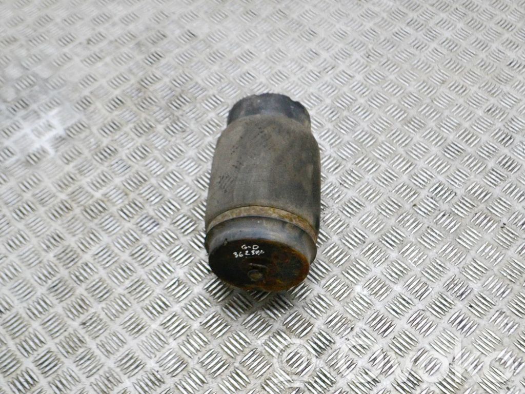 Land Rover Range Rover L322 Butelie suspensie pneumatică spate/amortizor