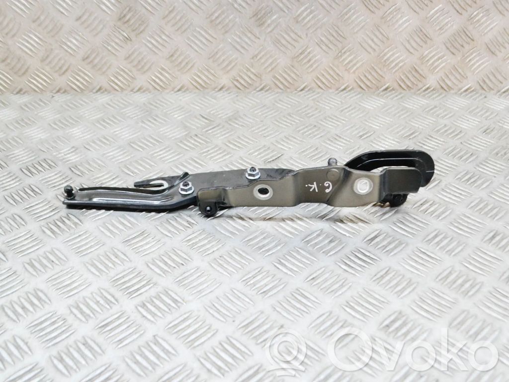 Audi A5 Tailgate/trunk/boot hinge 