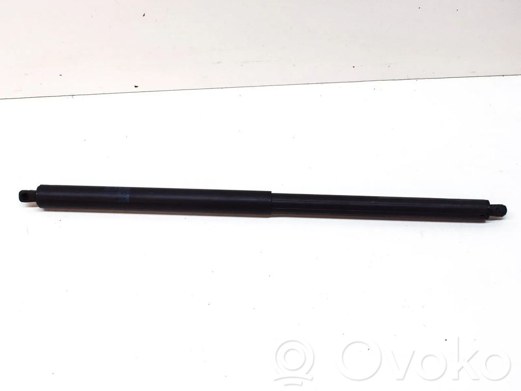 Tesla Model S Ammortizzatore portellone posteriore/bagagliaio