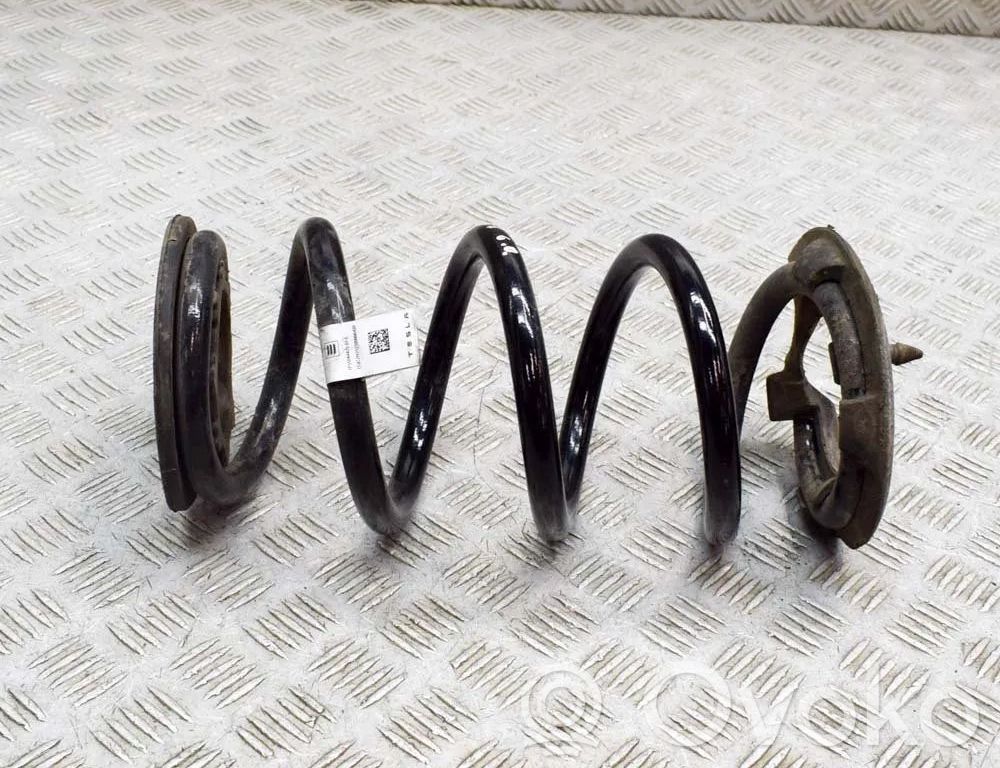 Tesla Model 3 Rear coil spring 