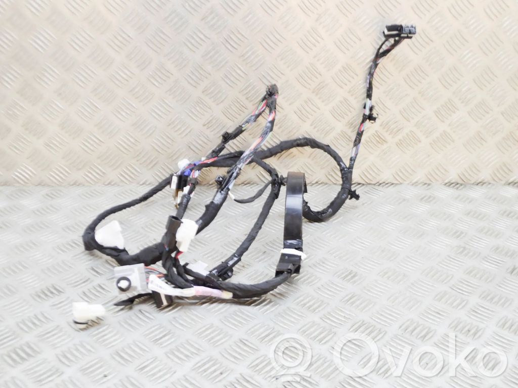 Cableado de puerta trasera   103288100G