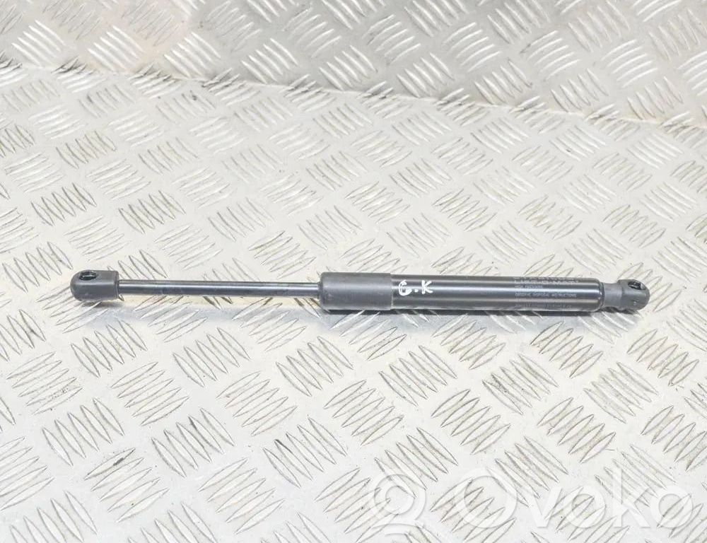 Tesla Model 3 Tailgate/trunk strut/damper 