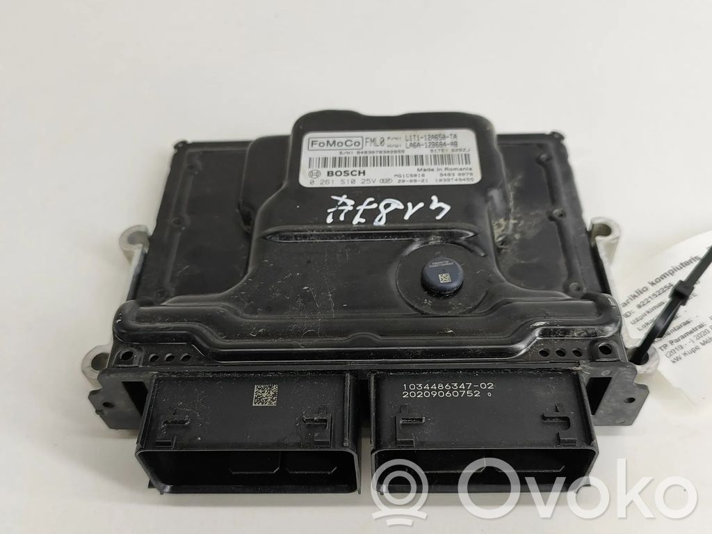 Ford Puma Engine control unit/module 