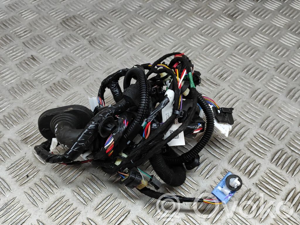 Cableado de puerta delantera   306795702C