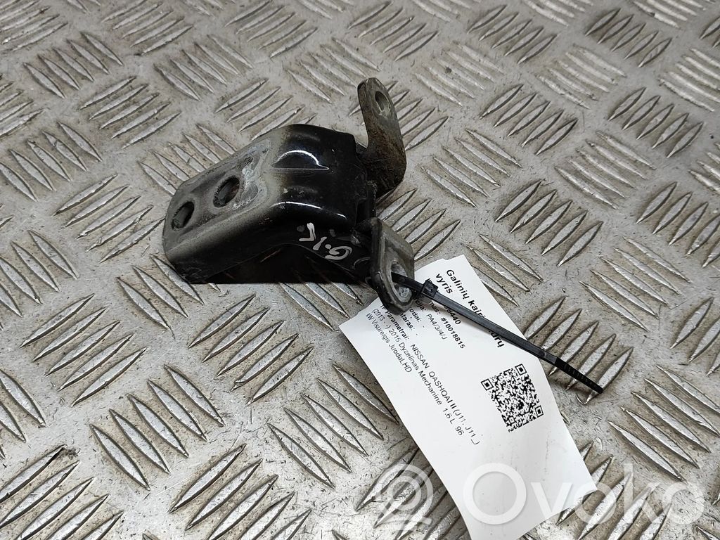 Nissan Qashqai Rear door lower hinge 