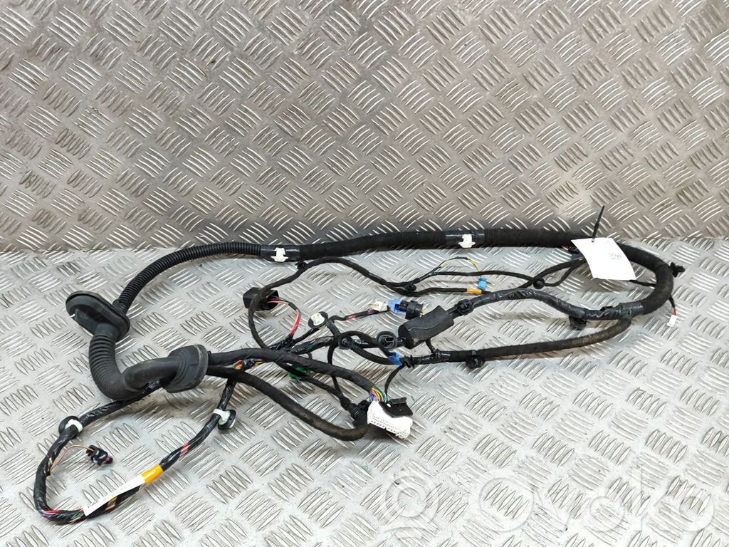 Tesla Model Y Cableado de puerta delantera 