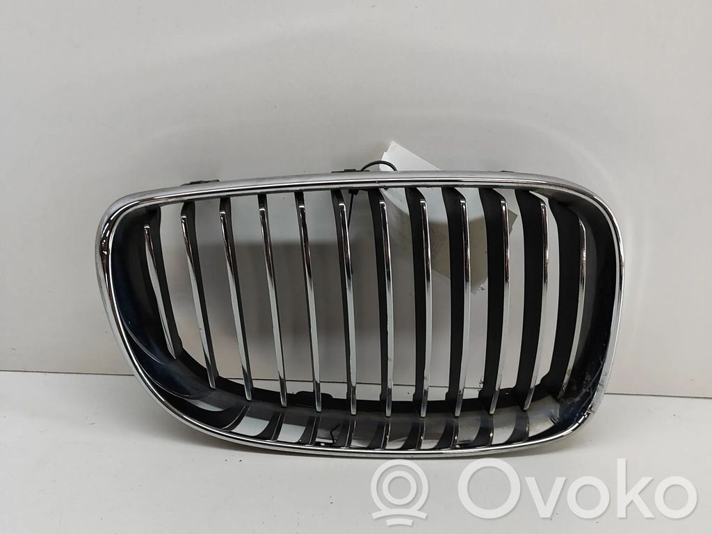 BMW 1 E81 E87 Front grill 