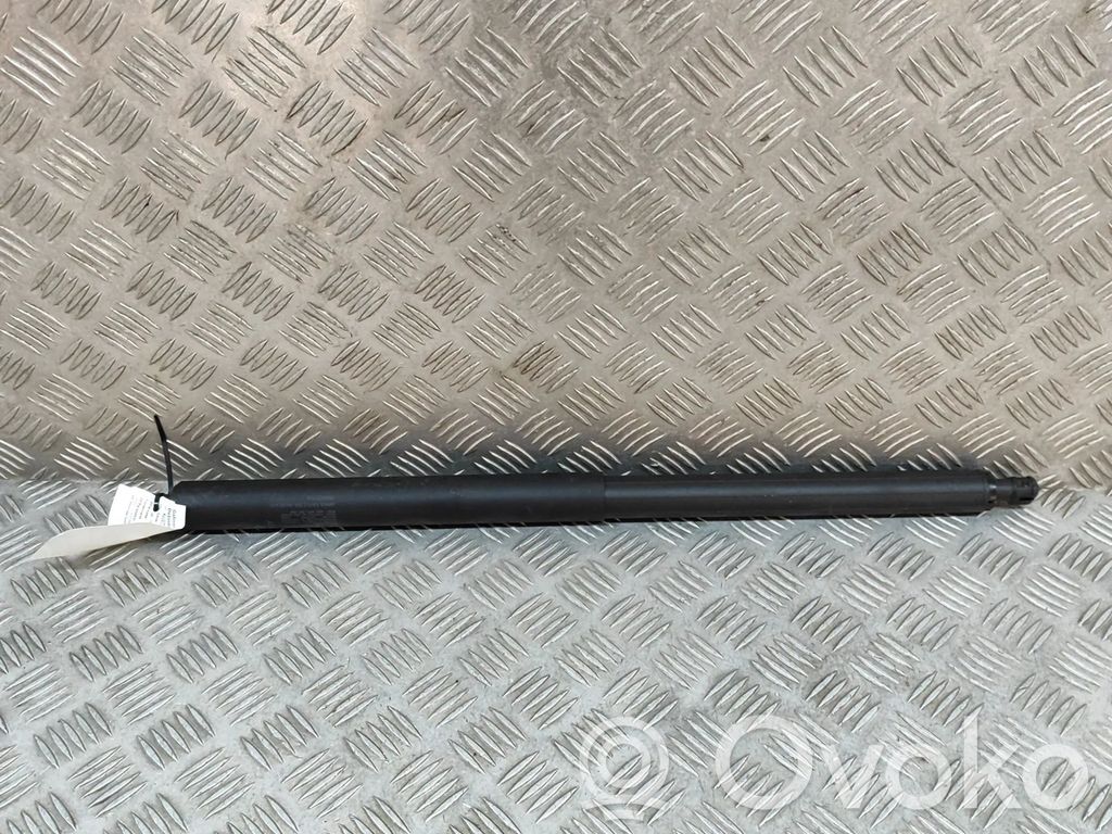 Tesla Model Y Ammortizzatore portellone posteriore/bagagliaio