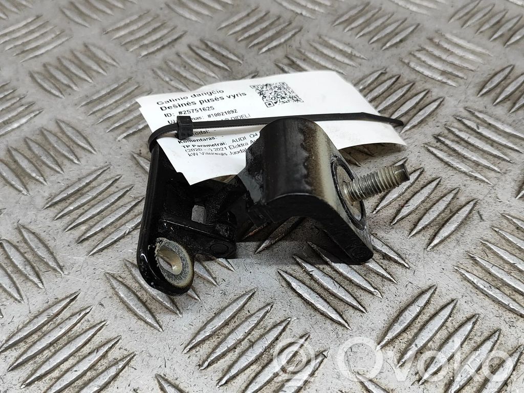 Audi Q4 e-tron Tailgate/trunk/boot hinge 