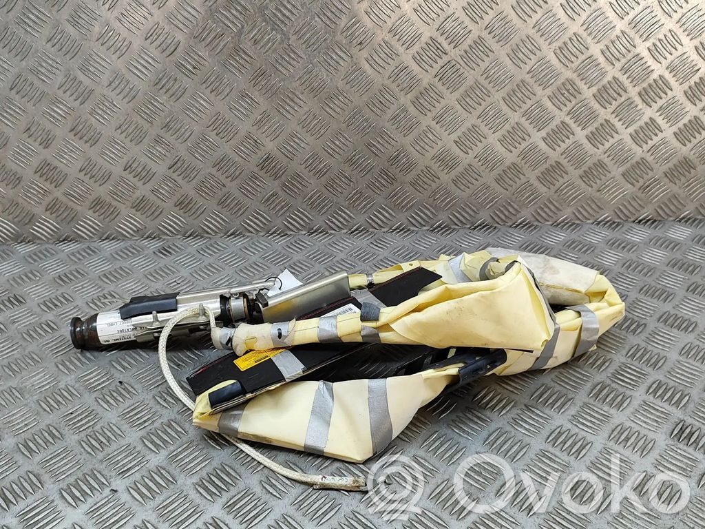 Airbag del techo   4649126AM