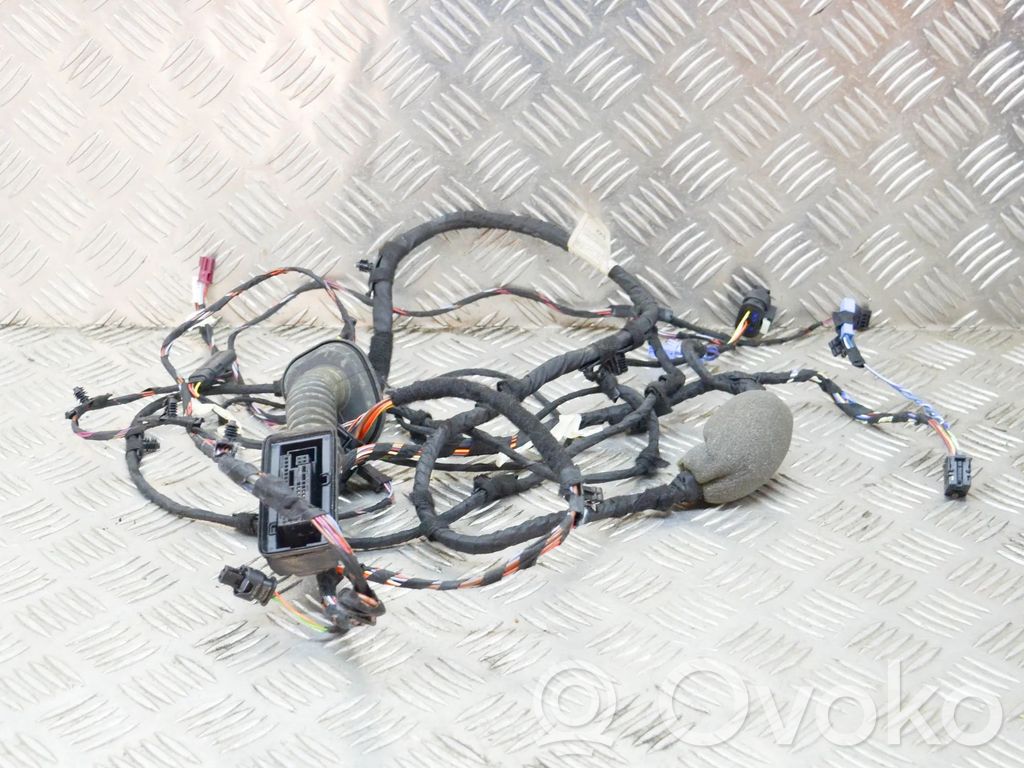 BMW X3M F97 Cableado de puerta delantera 