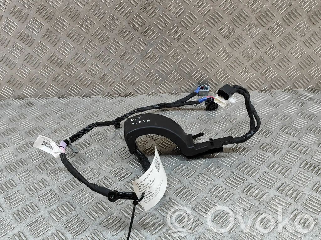 Tesla Model X Cableado de puerta trasera 