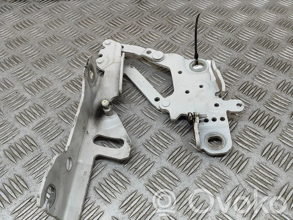 BMW 3 F30 F35 F31 Cerniere del vano motore/cofano