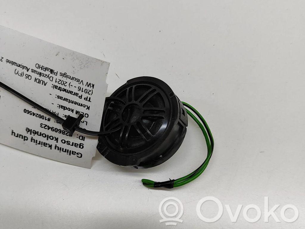 Audi Q5 SQ5 FY Altoparlante portiera posteriore