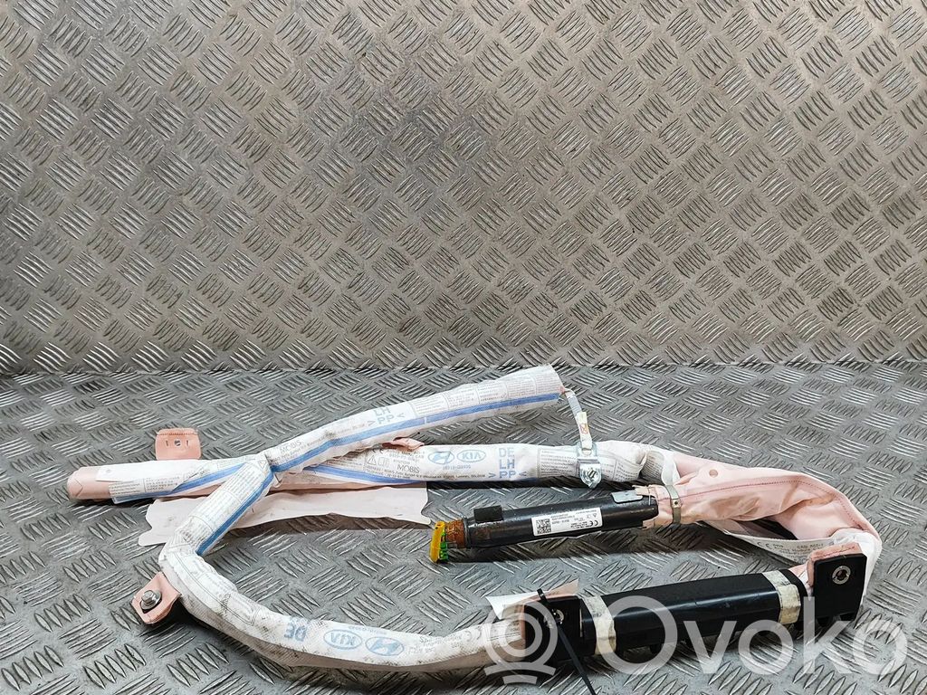 KIA Niro Airbag da tetto 